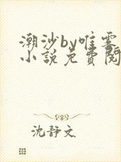 潮沙by唯雾的小说免费阅读笔趣阁封面