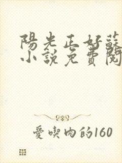 阳光正好苏玥玥小说免费阅读封面