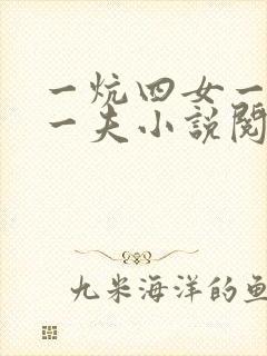 一炕四女一共侍一夫小说阅读