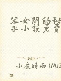 父女间的秘密赵永小说免费阅读封面