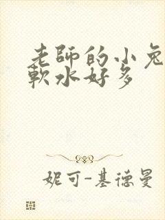 老师的小兔子好软水好多封面