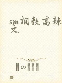 sm调教高辣h文