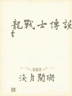 龙战士传说txt