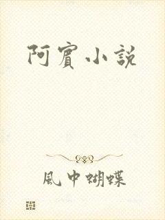 阿宾小说