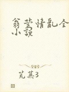 翁莹情乱全部篇小说