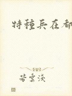 特种兵在都市