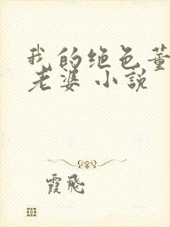 我的绝色董事长老婆 小说封面