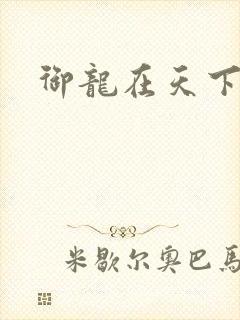 御龙在天下载
