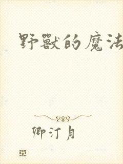 野兽的魔法师封面