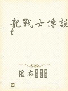 龙战士传说txt封面