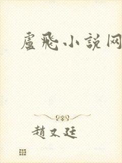 卢飞小说网