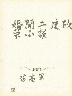 婚开二度欣欣向荣小说
