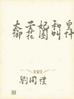 太子妃和皇帝在御花园叫什么小说