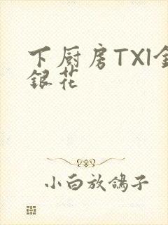 下厨房TXl金银花封面