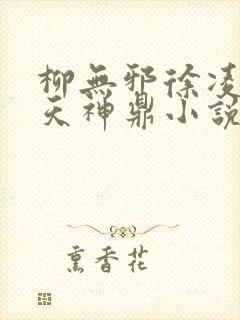 柳无邪徐凌雪吞天神鼎小说