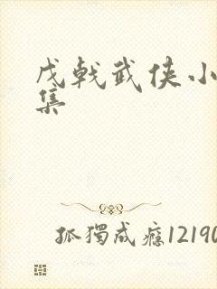 戊戟武侠小说全集封面