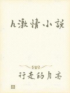 h激情小说封面