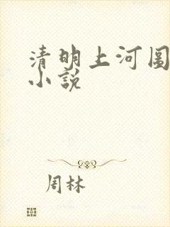 清明上河图密码小说