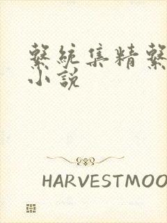 系统集精系统 小说