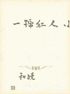 一号红人 小说