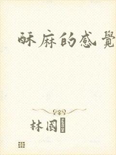 酥麻的感觉小说