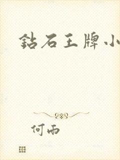 钻石王牌小说封面