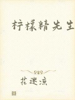 柠檬精先生封面