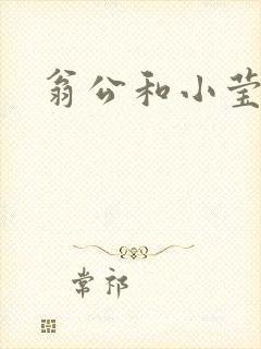 翁公和小莹封面