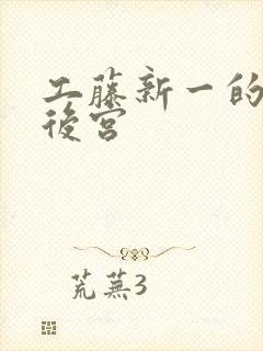 工藤新一的日本后宫封面