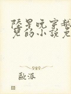 陆星晚穿越成婴儿的小说免费阅读全文