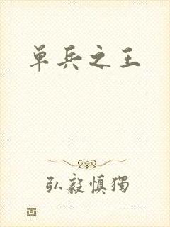 单兵之王