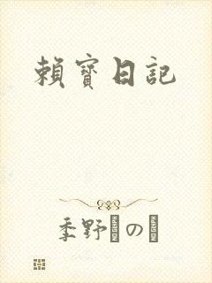 赖宝日记封面