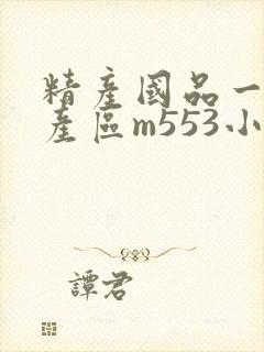 精产国品一二三产区m553小说封面