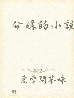公媳的小说