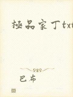 极品家丁txt
