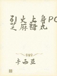 引火上身POP芝麻糖丸