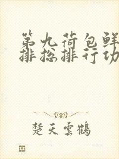 第九荷包鲜辣肉排总排行功能介绍