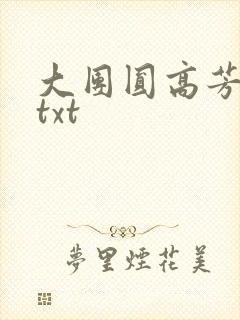 大团圆高芳小说txt封面