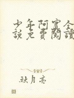 少年阿宾全文小说免费阅读笔趣阁封面