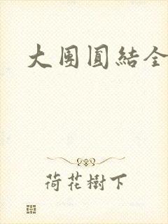 大团圆结全文封面