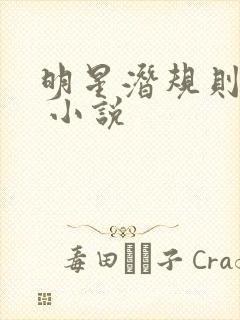 明星潜规则之皇 小说