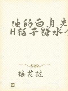 他的白月光HVH桔子糖水全文