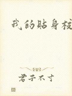 我的贴身校花