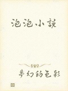 泡泡小说