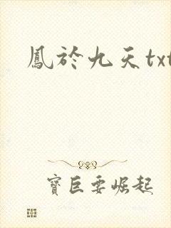 凤于九天txt