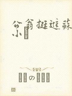 公翁挺进苏玥的小泬