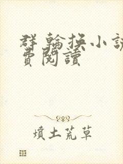 群 轮换小说免费阅读