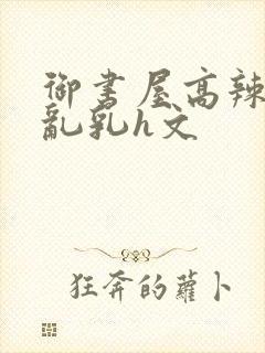 御书屋高辣h文乱乳h文