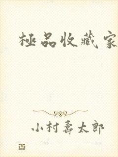 极品收藏家封面