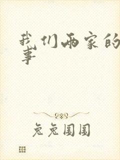 我们两家的荒唐事封面